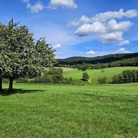 Corps De Ferme Traditionnel Lembach Extérieur photo