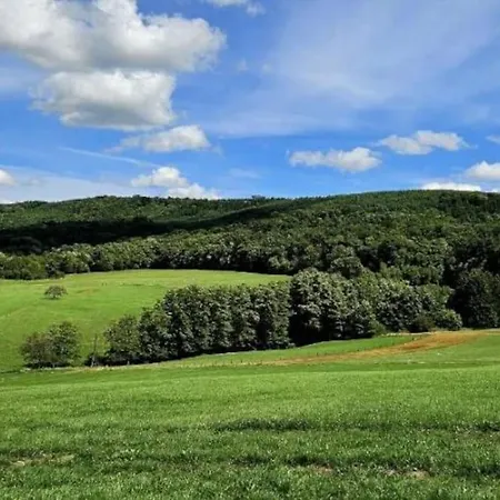 Corps De Ferme Traditionnel Lembach Extérieur photo