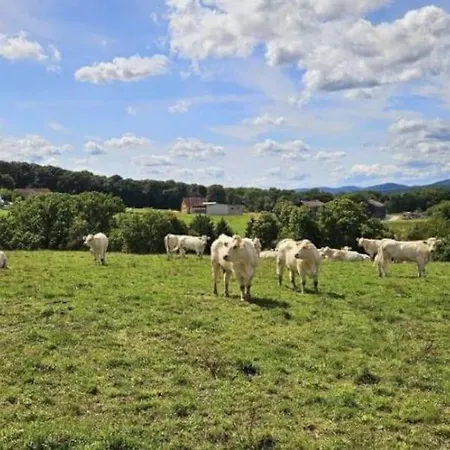 Corps De Ferme Traditionnel Lembach Extérieur photo