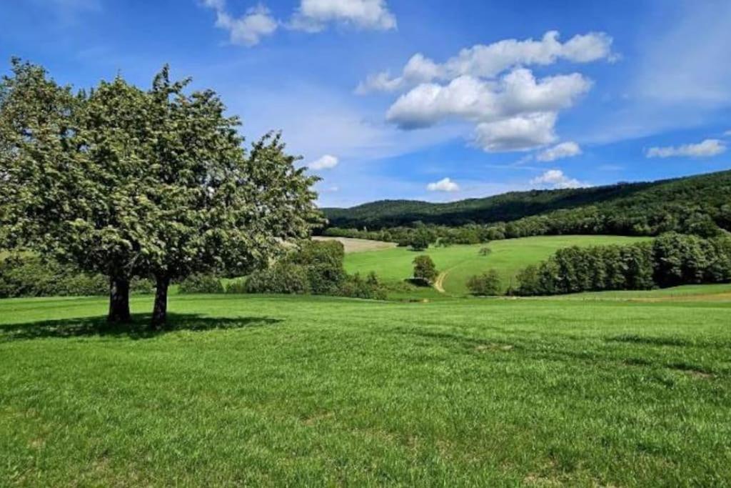 Holiday home Corps De Ferme Traditionnel *