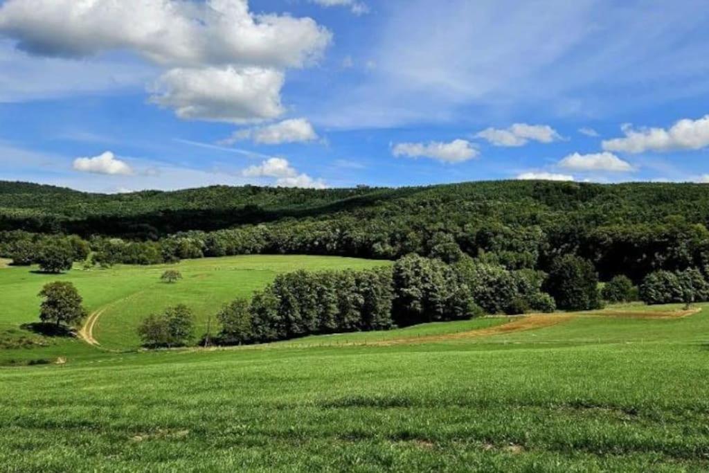 Corps De Ferme Traditionnel * Lembach